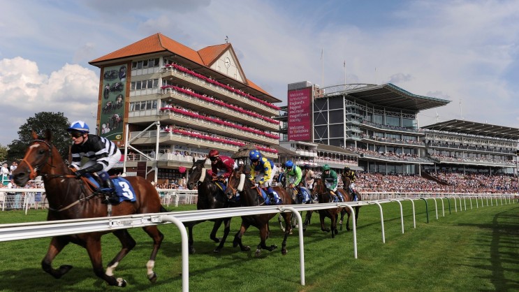 York 1