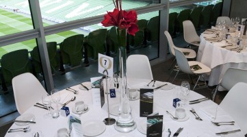 Aviva Stadium 4